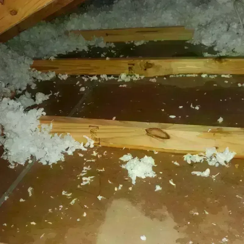 Attic Water Damage in Groves, TX