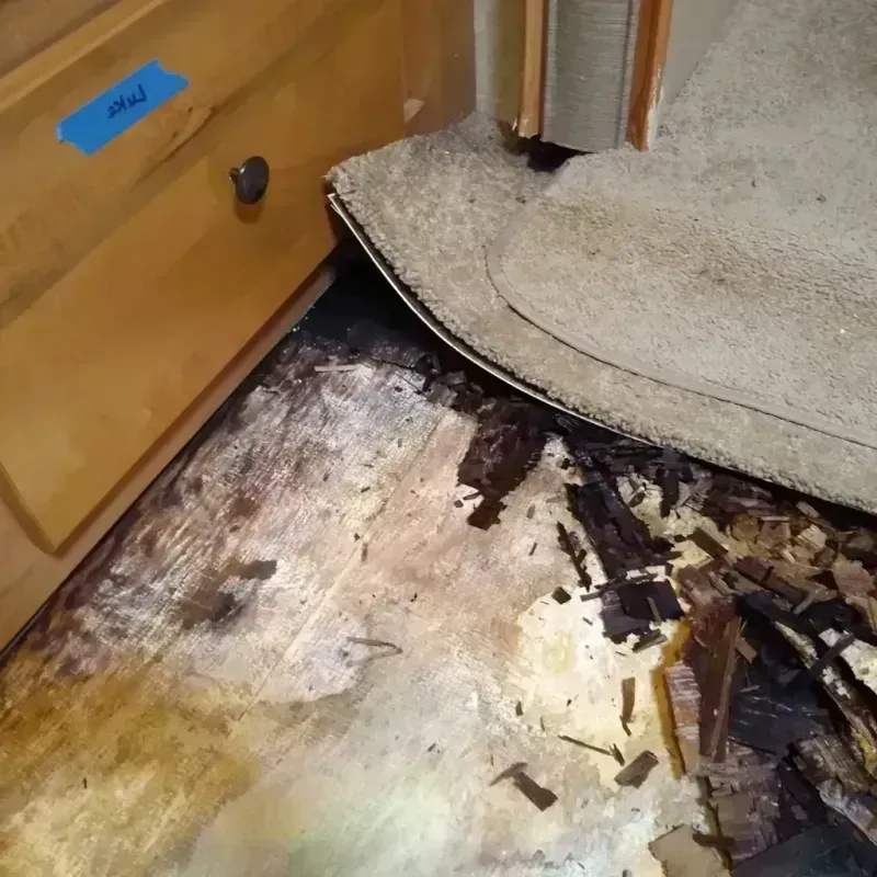 Wood Floor Water Damage in Groves, TX